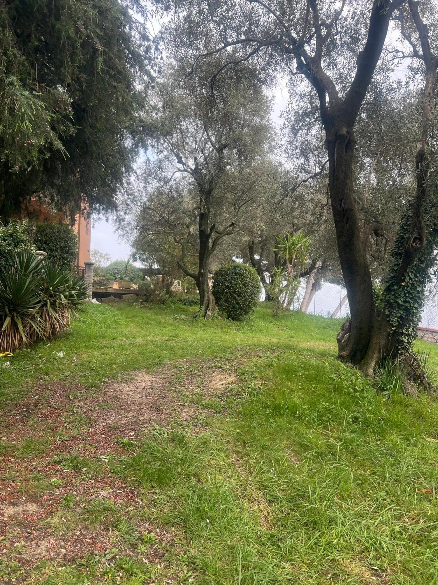 Bas De Villa Vue Mer Eze Village Exterior photo